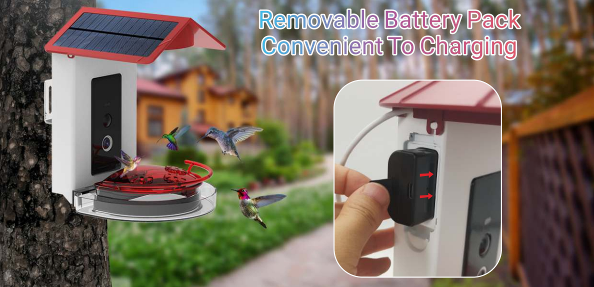 Smart Hummingbird Feeder with 1080P HD AI Camera & Solar Panel