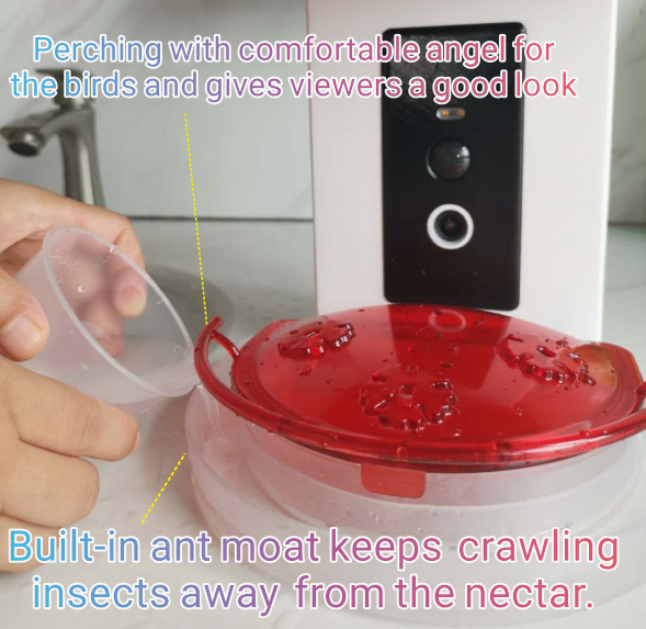 Smart Hummingbird Feeder with 1080P HD AI Camera & Solar Panel