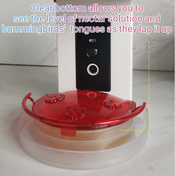 Smart Hummingbird Feeder with 1080P HD AI Camera & Solar Panel