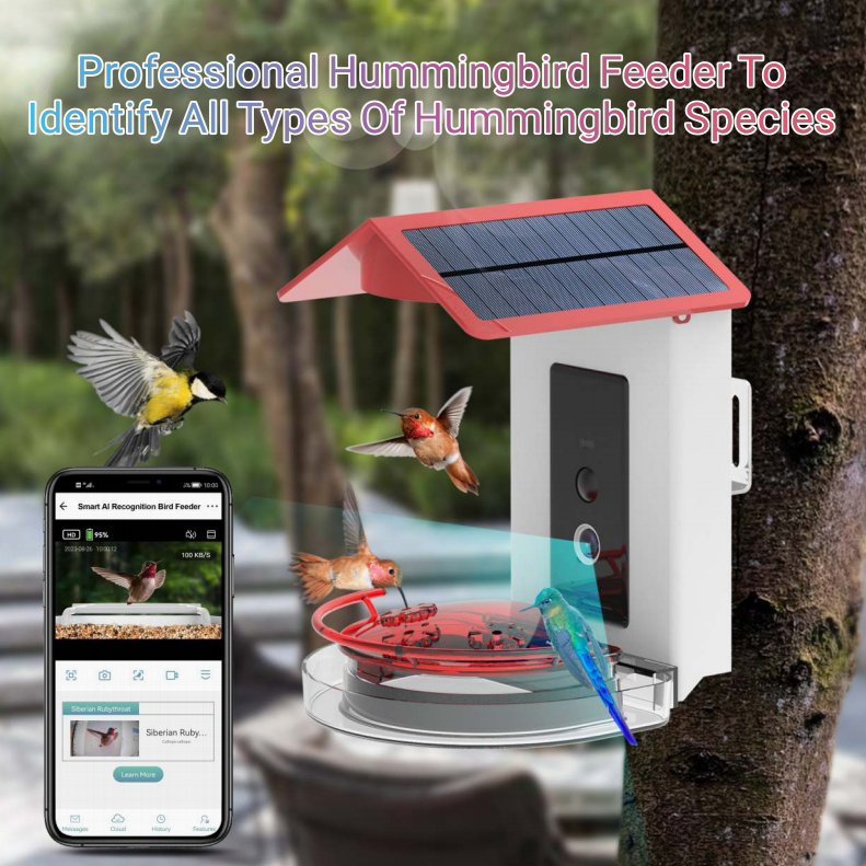 Smart Hummingbird Feeder with 1080P HD AI Camera & Solar Panel