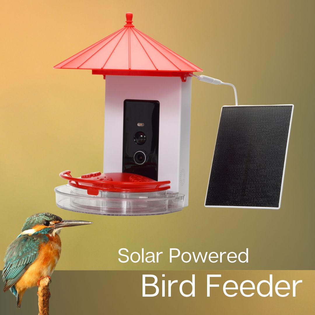 Smart Hummingbird Feeder