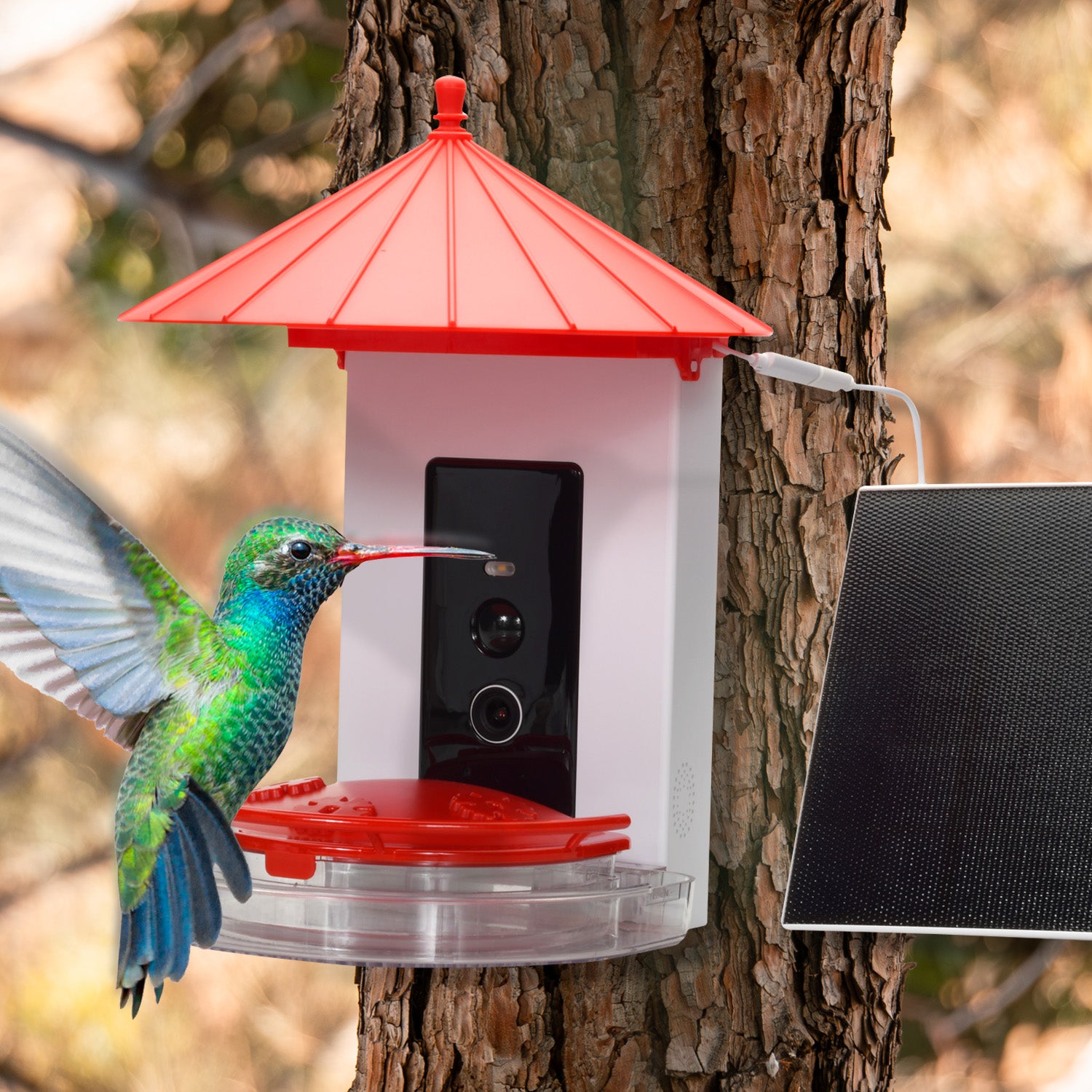 Smart Hummingbird Feeder