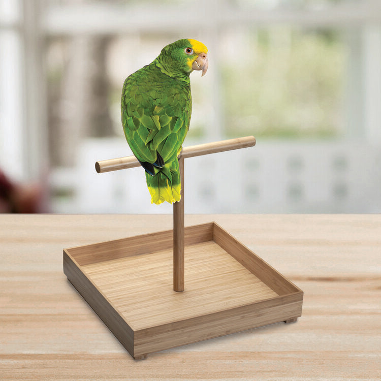 Large bird on sale perch stand